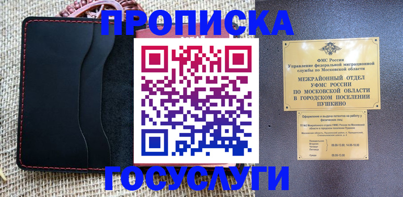 прописка для военкомата в Шали